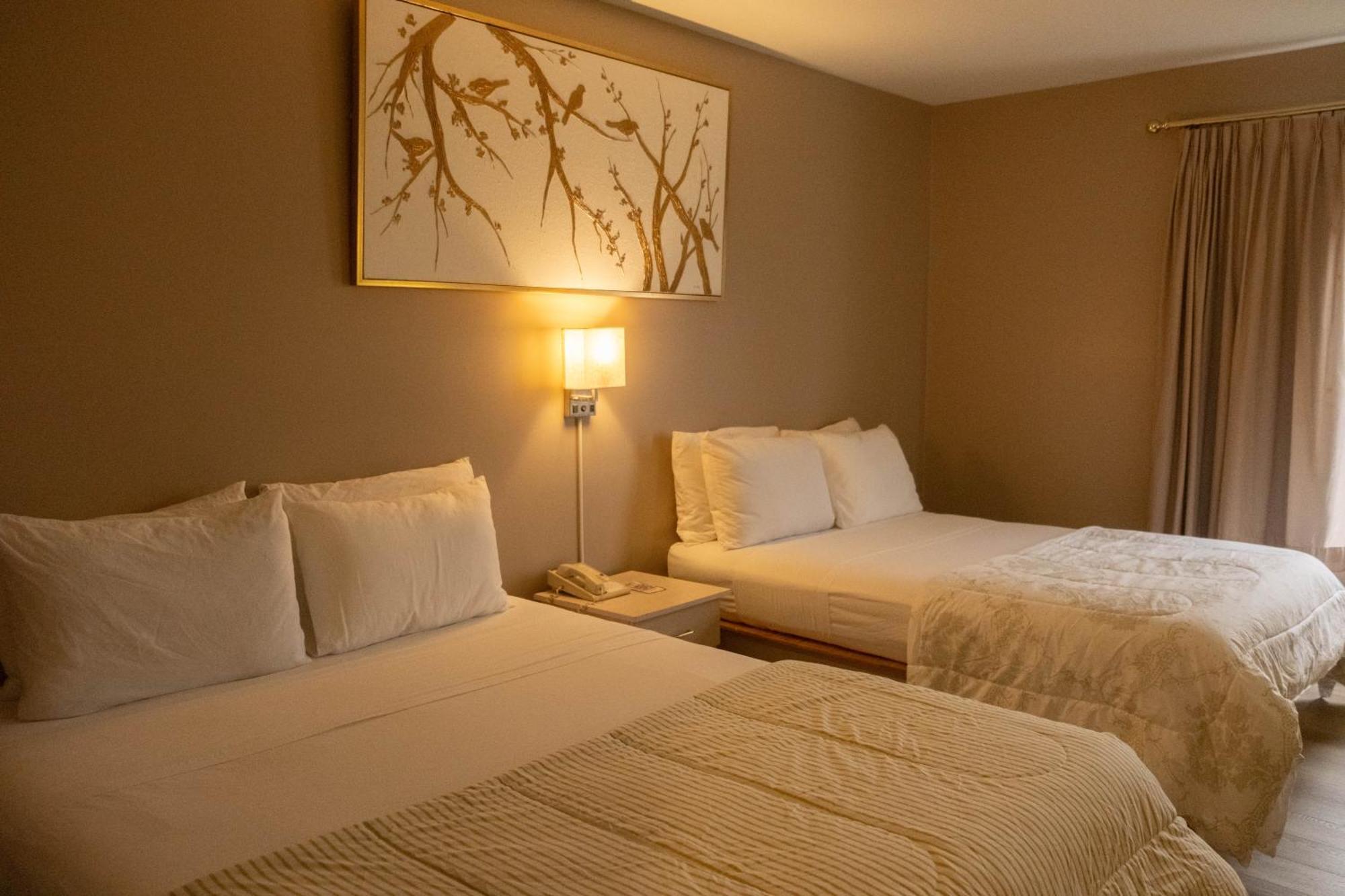 Hotel Saint-Come Extérieur photo