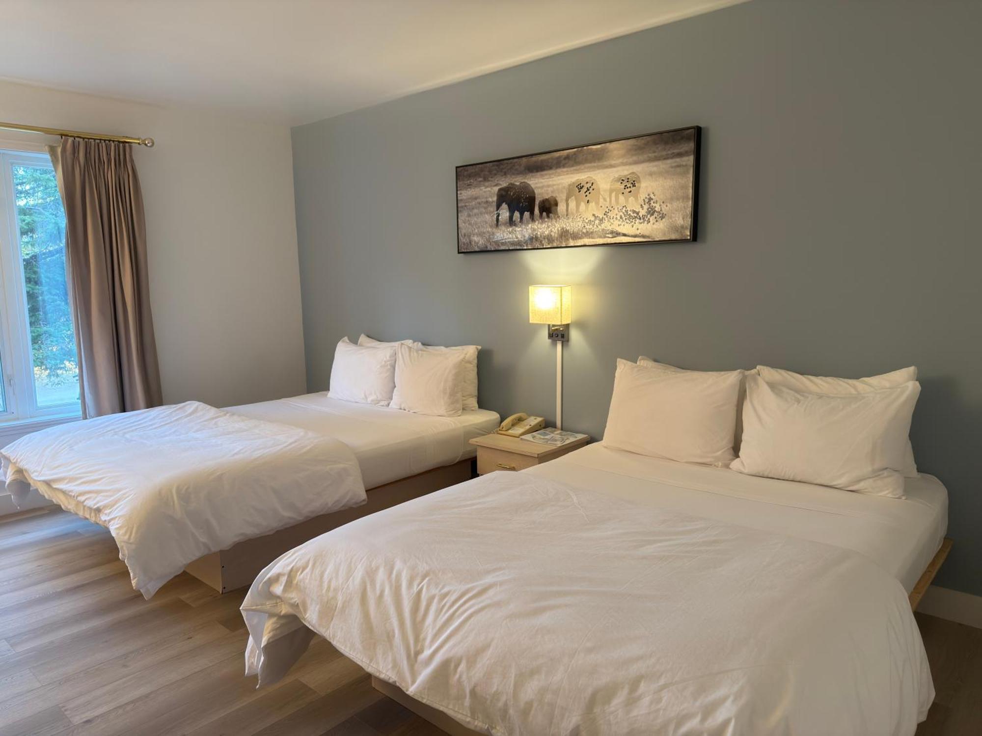 Hotel Saint-Come Extérieur photo